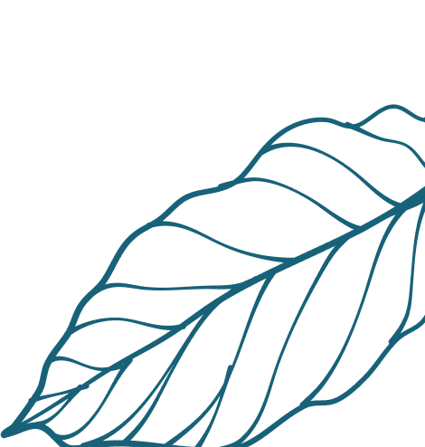 recognize-bottom-leaf